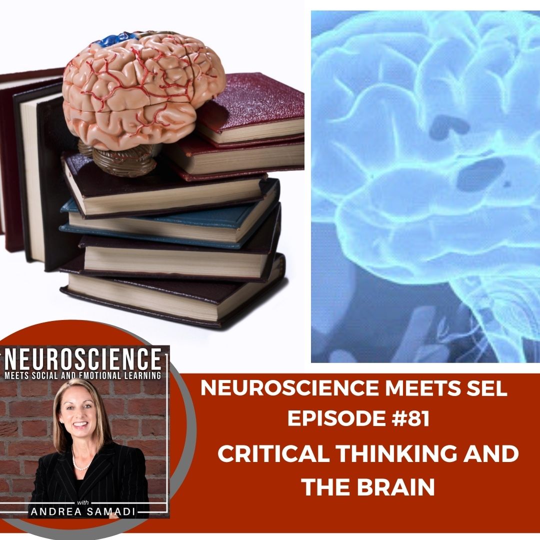 critical thinking brain exercise ap psychology answers